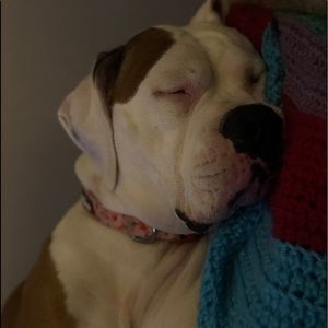 Meet your Posher, Robyn